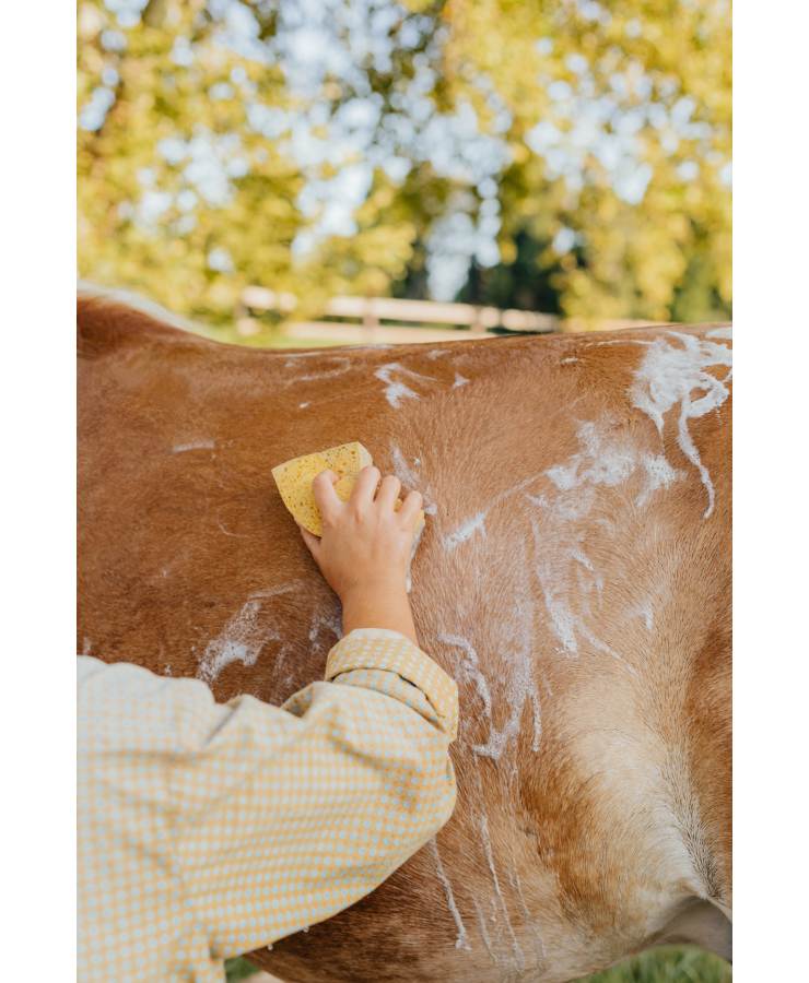 Shampooing Ekinat Pour Chevaux Robes Claires - 400 Ml, à Base De Sureau, Bleuet Et Aloé Vera, Fabriqué En France