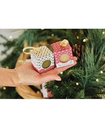 Acheter le/la vrai(e) Savon de Marseille pour le linge 100g Edition Noël 2025